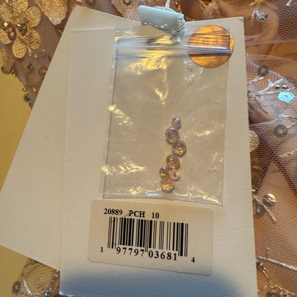 New | MAC DUGGAL
Pink Sheer Bustier Gown with Feather Straps | 10 | 20889 - Picture 8 of 8